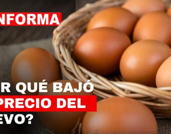 ¿Porque está bajando tanto el Precio del Huevo en Colombia 2024? JEY TE INFORMA