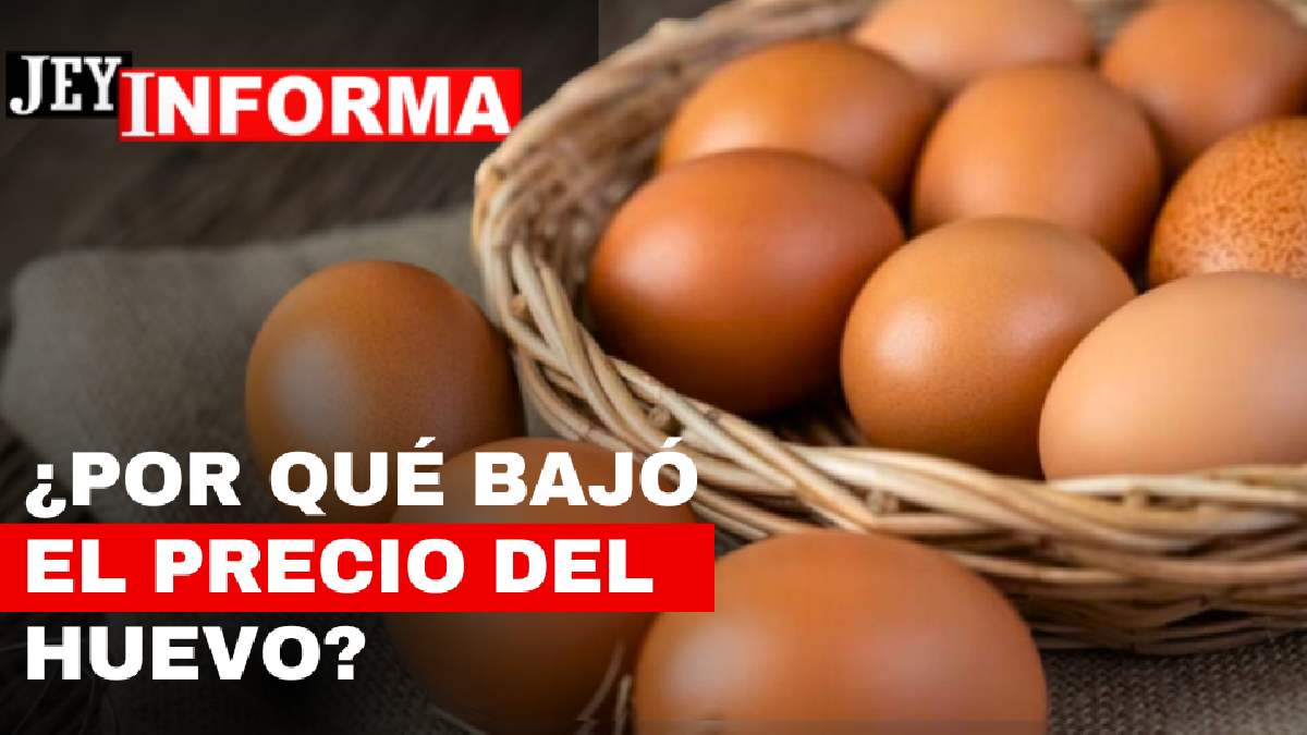 ¿Porque está bajando tanto el Precio del Huevo en Colombia 2024? JEY TE INFORMA